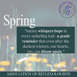 spring aor